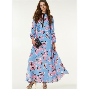 Liuj o Floral Blue and Pink Maxi Dress